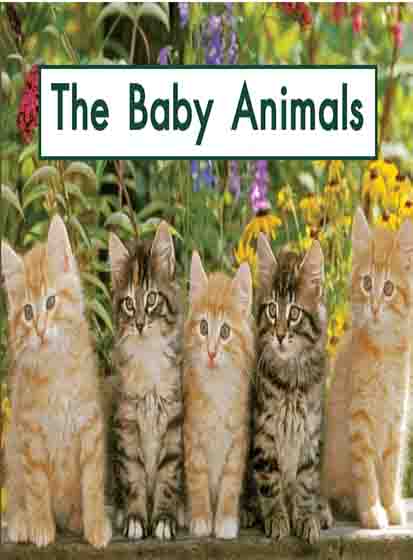 gk-4 the baby animals